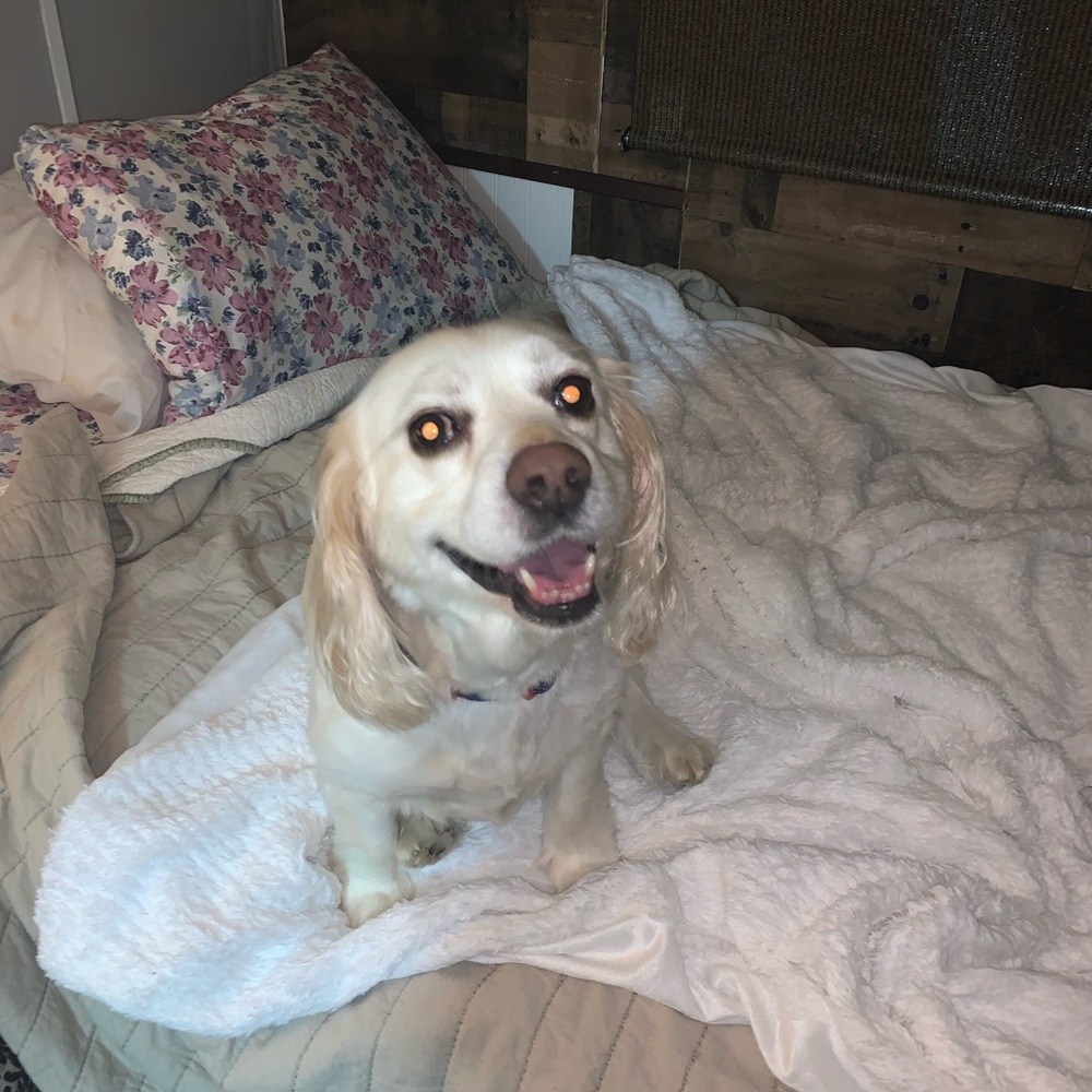 Meet your Posher, Delia